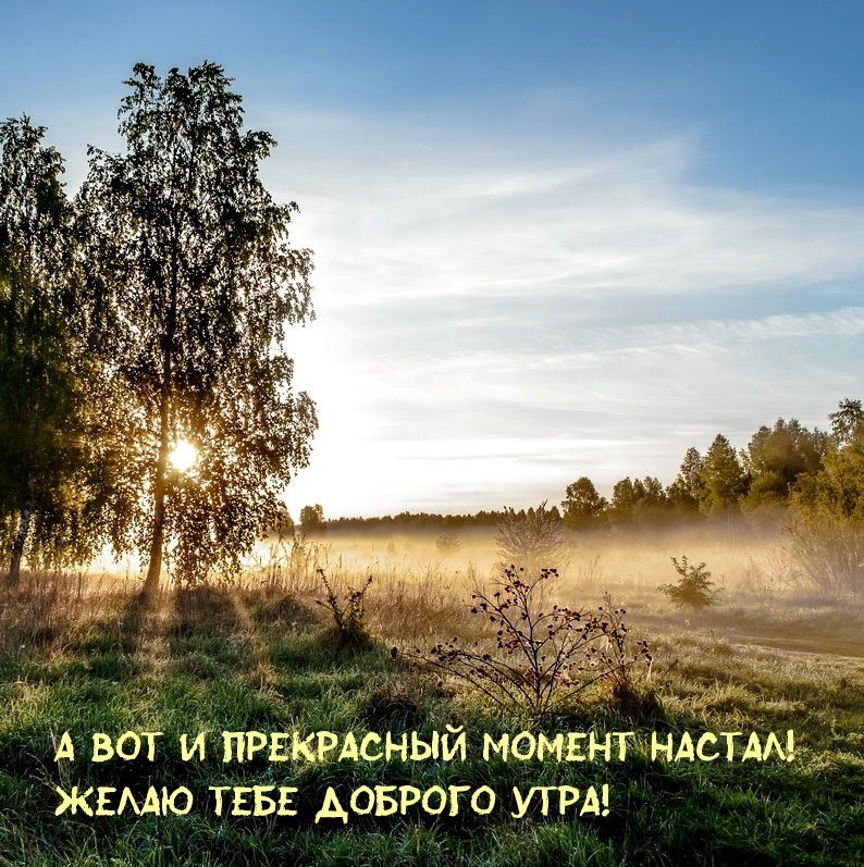 А вот и прекрасный момент настал! Желаю доброго утра!