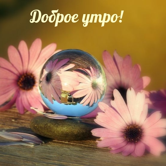 Доброе утро!