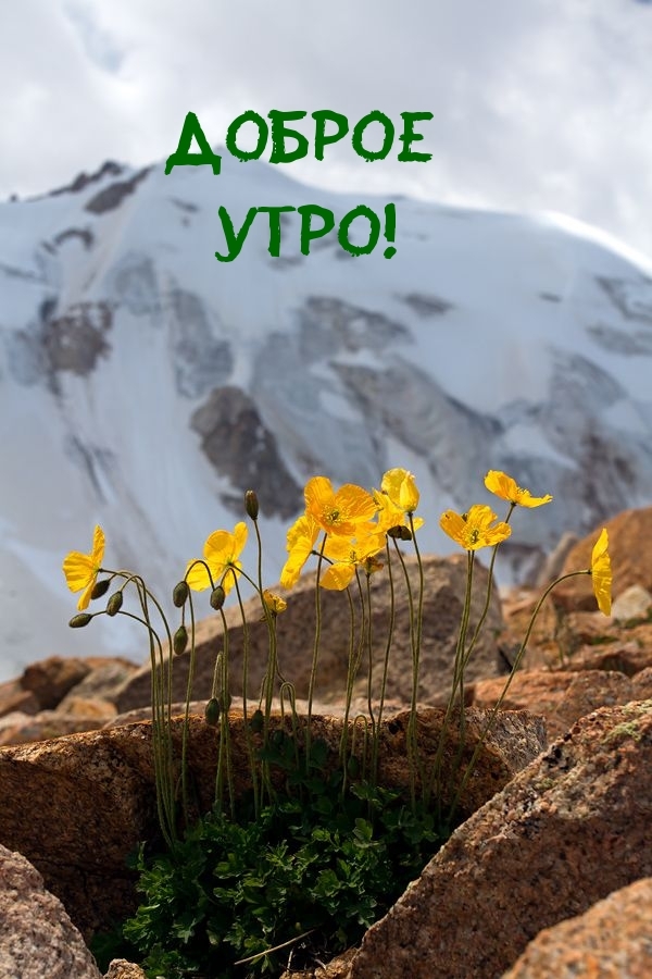 Доброе утро!