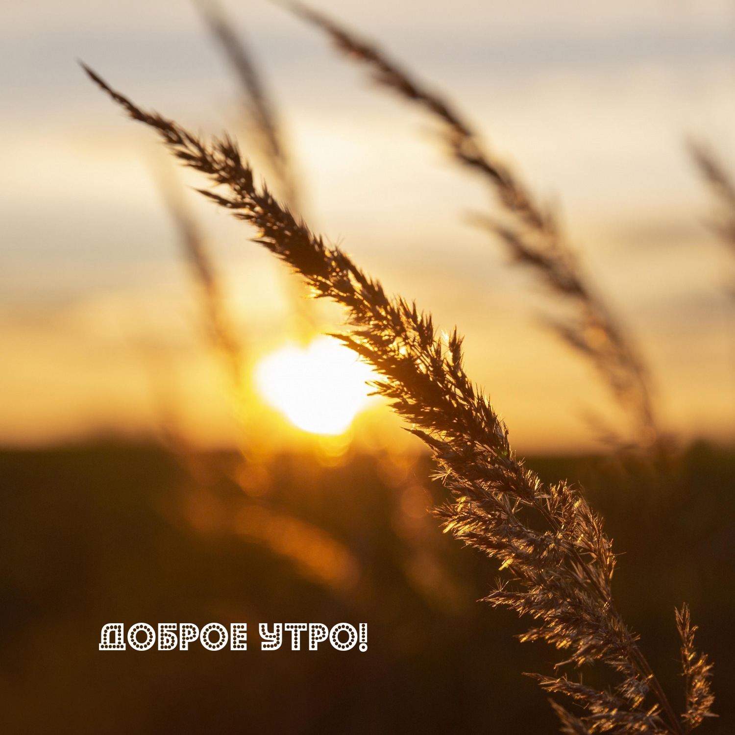 Доброе утро!