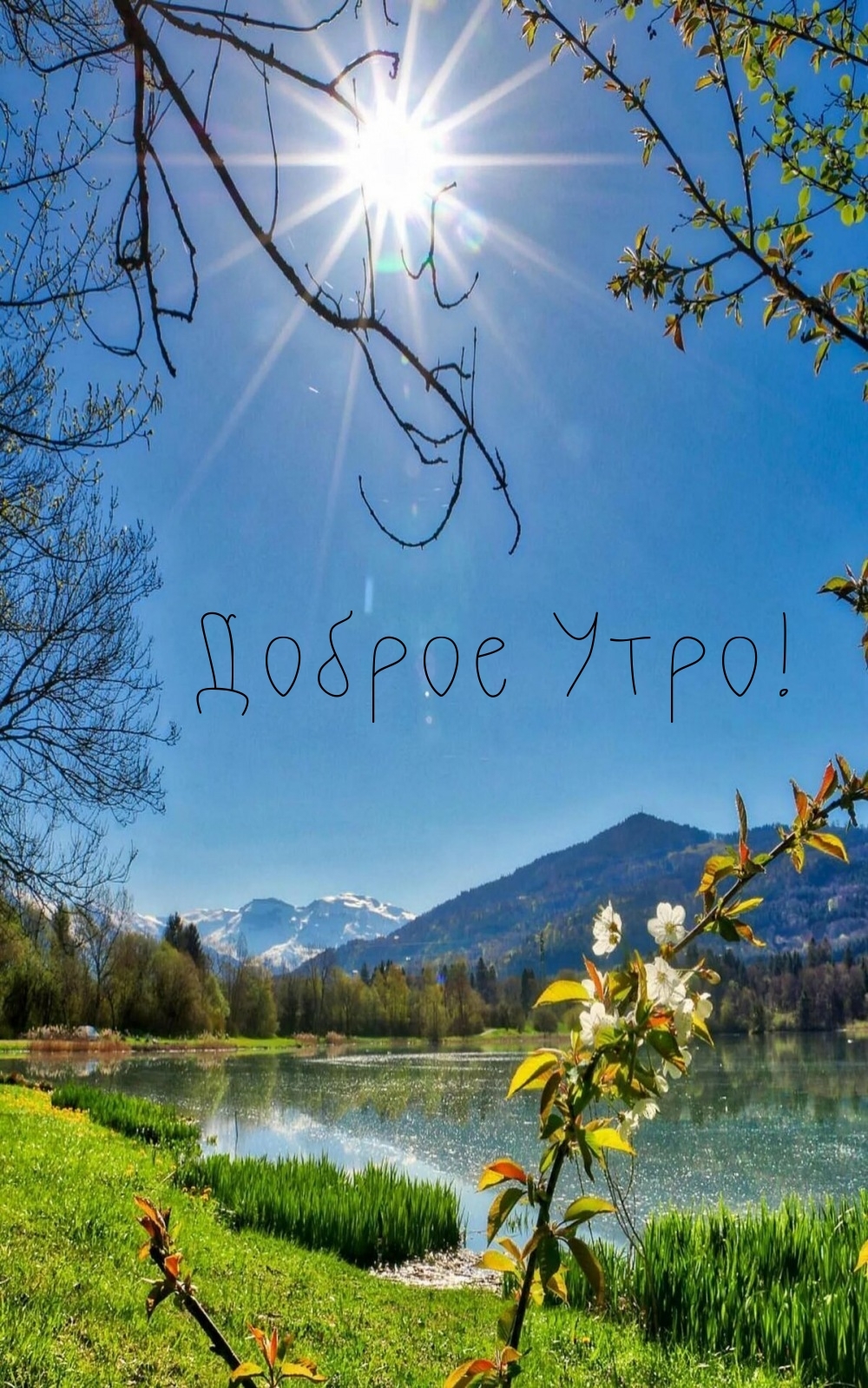 Доброе Утро!