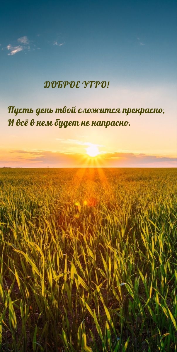 Доброе утро! Пусть день твой сложится прекрасно