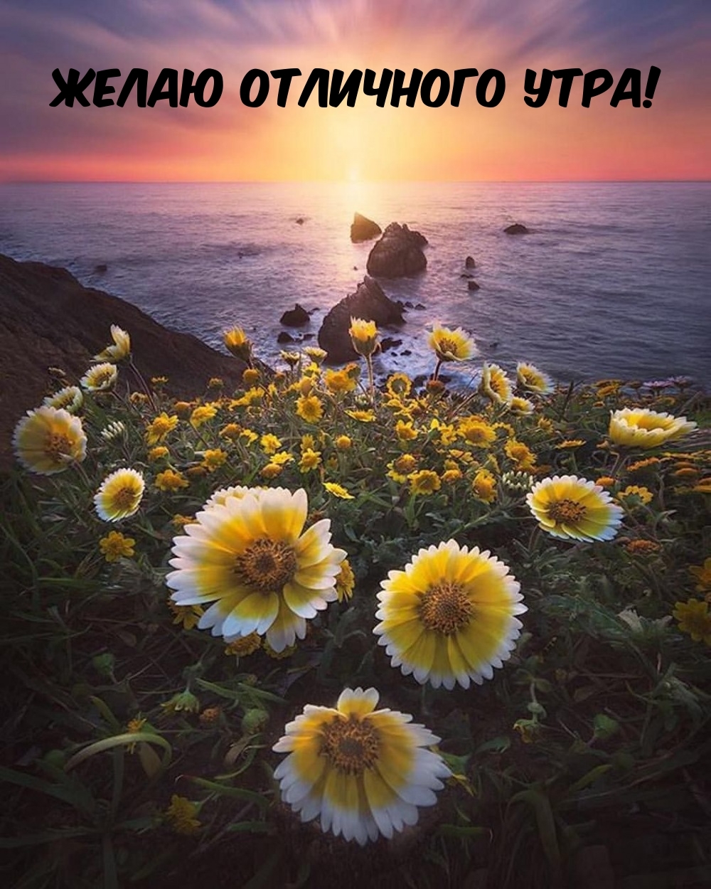 Желаю отличного утра!