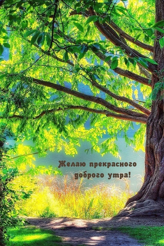 Желаю прекрасного доброго утра!