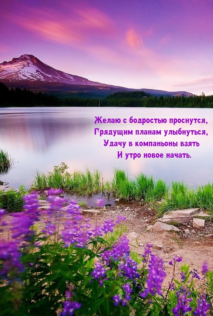 Желаю с бодростью проснутся, грядущим планам улыбнуться