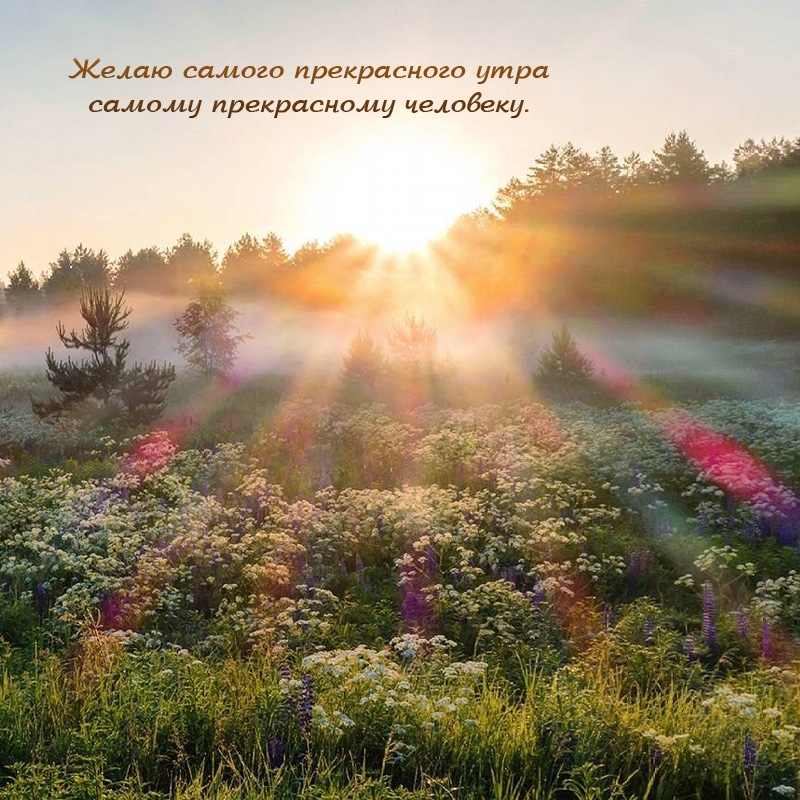 Желаю самого прекрасного утра самому прекрасному человеку.
