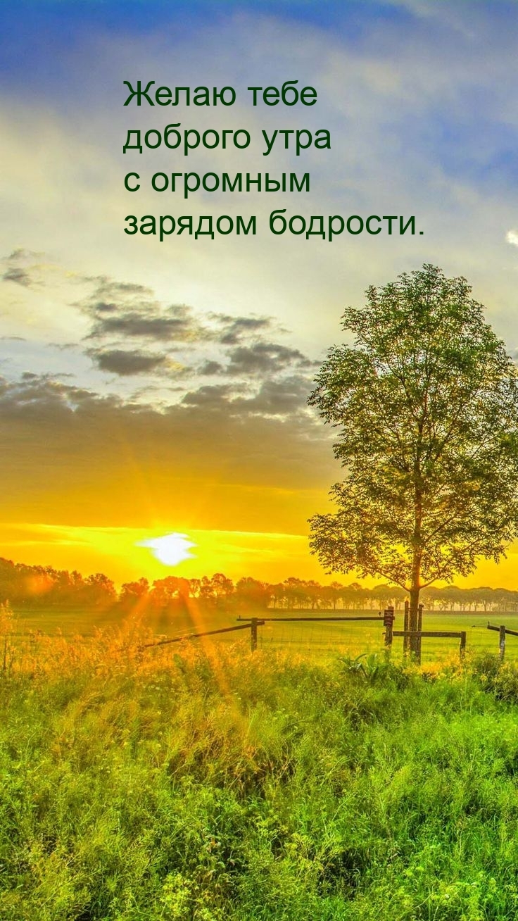 Желаю тебе доброго утра с огромным зарядом бодрости.
