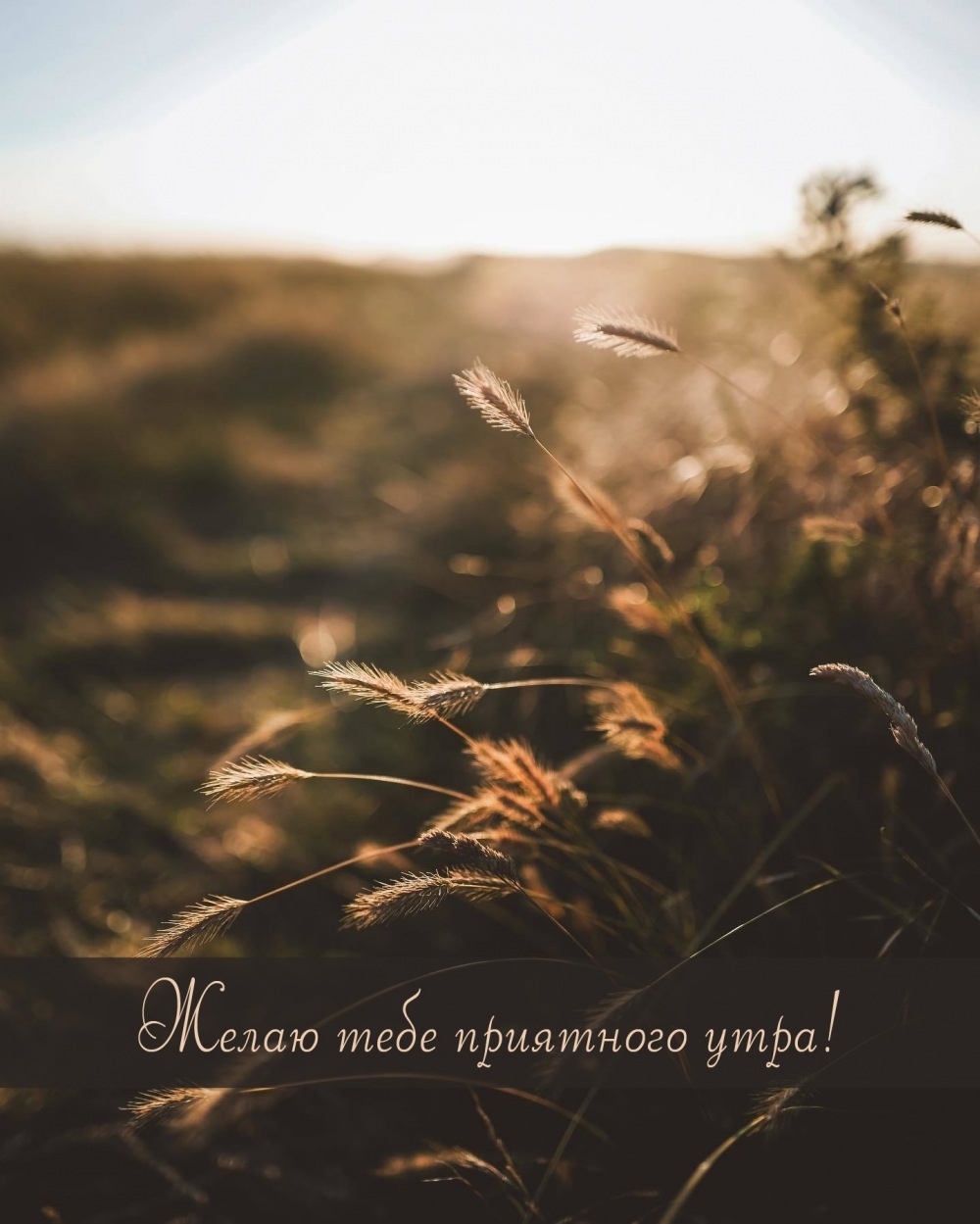 Желаю тебе приятного утра!