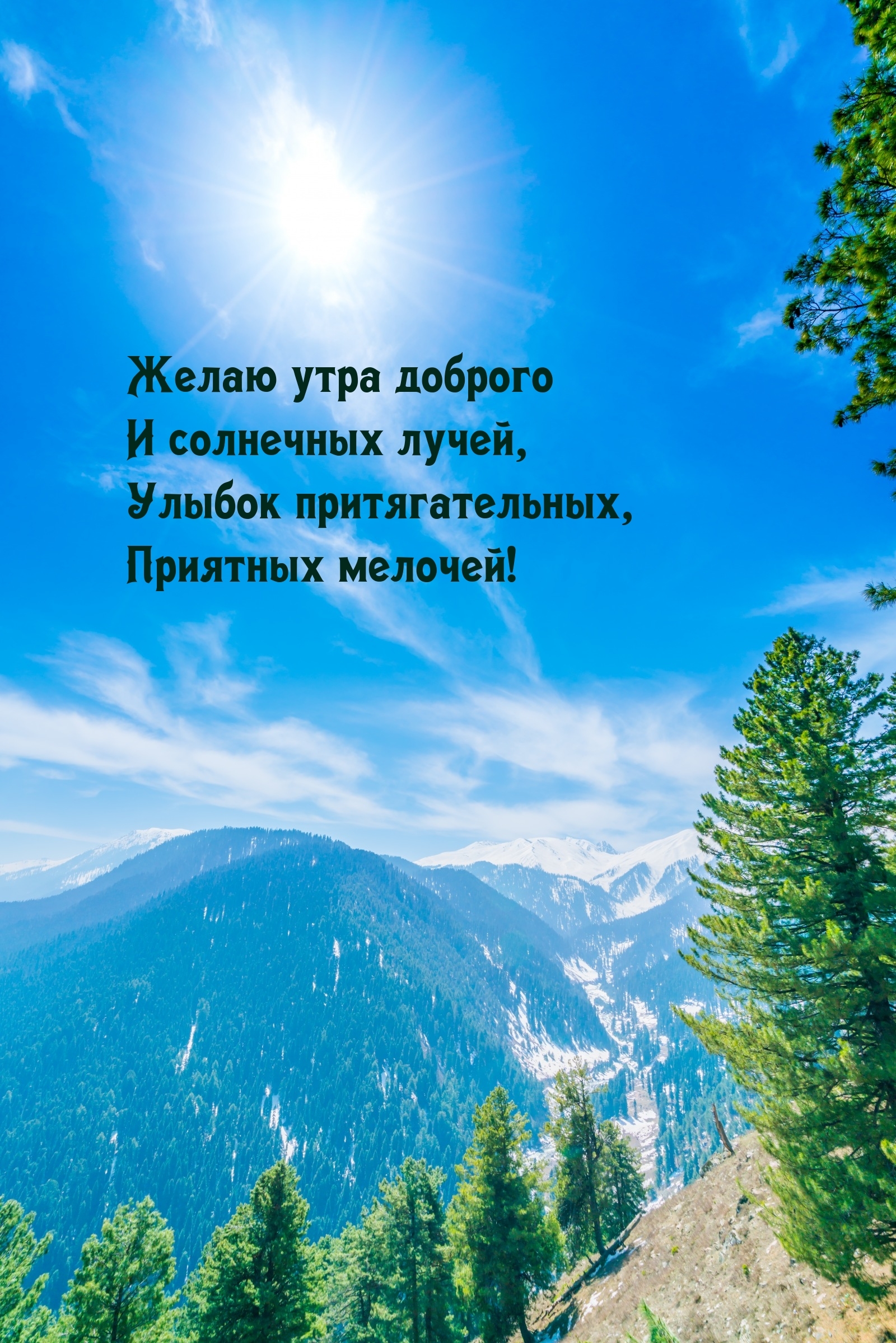 Желаю утра доброго и солнечных лучей