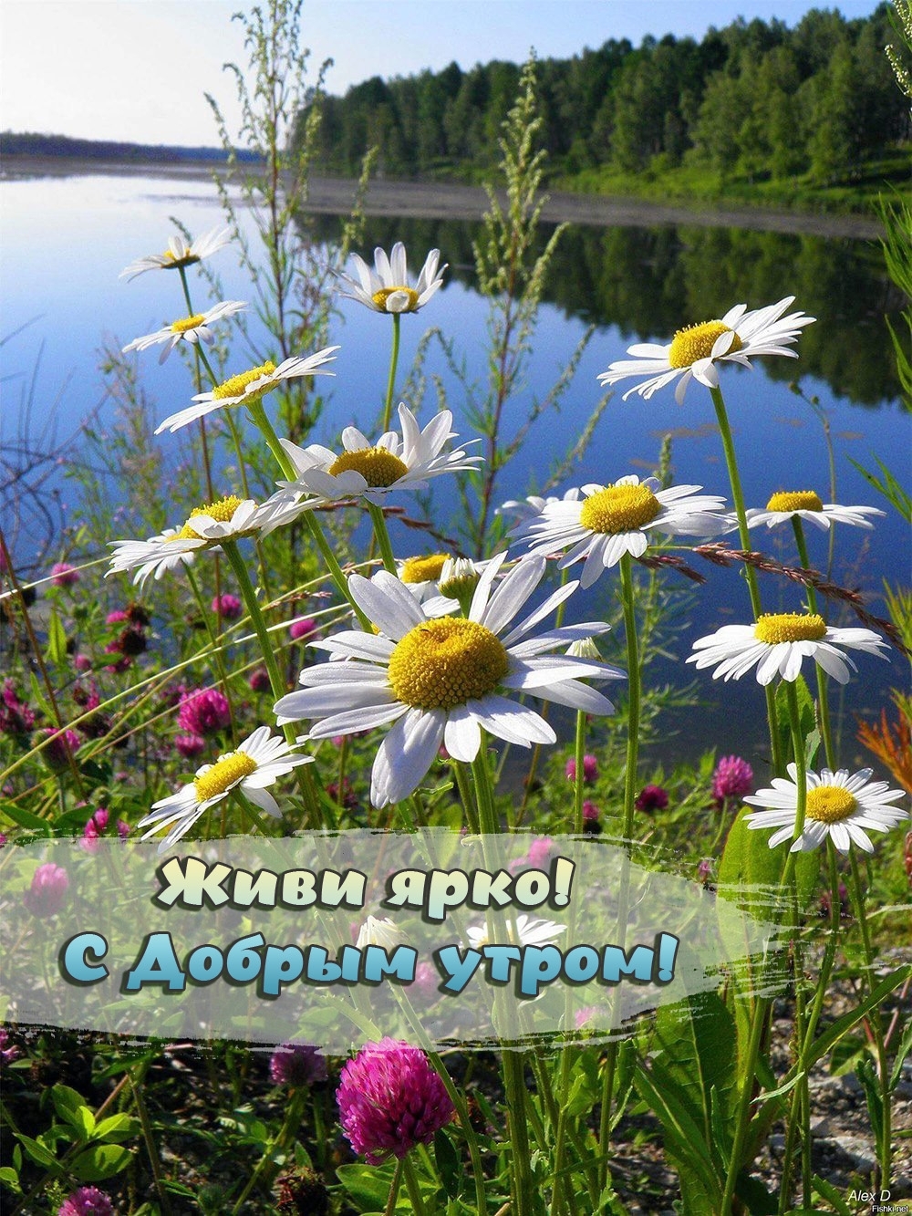 Живи ярко! С Добрым утром!