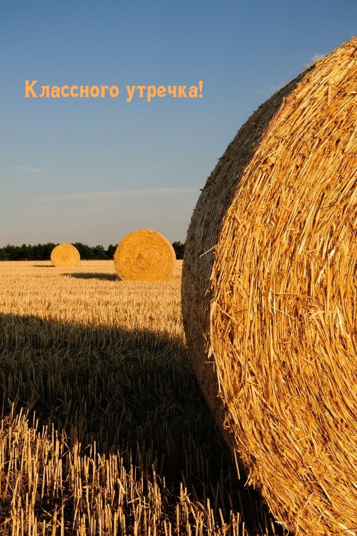 Классного утречка!
