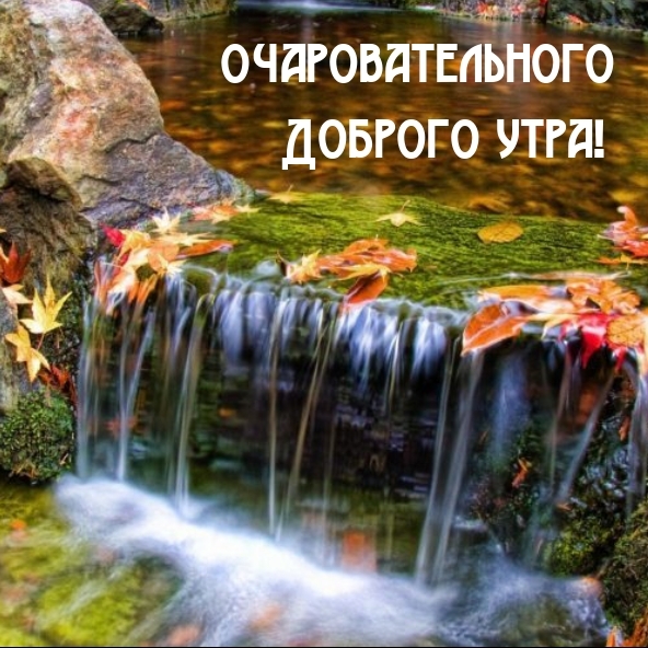Очаровательного Доброго утра!