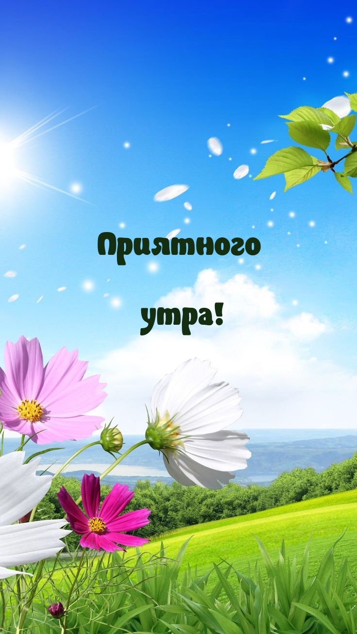 Приятного утра!