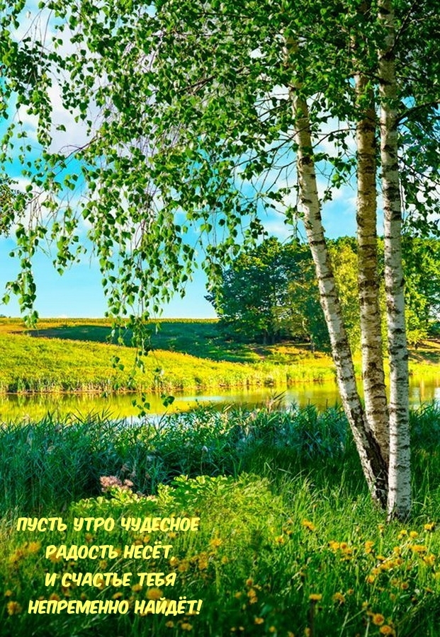 Пусть утро чудесное радость несет