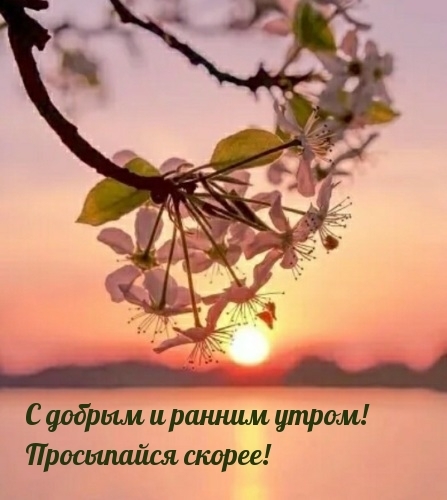 С добрым и ранним утром! Просыпайся скорее!