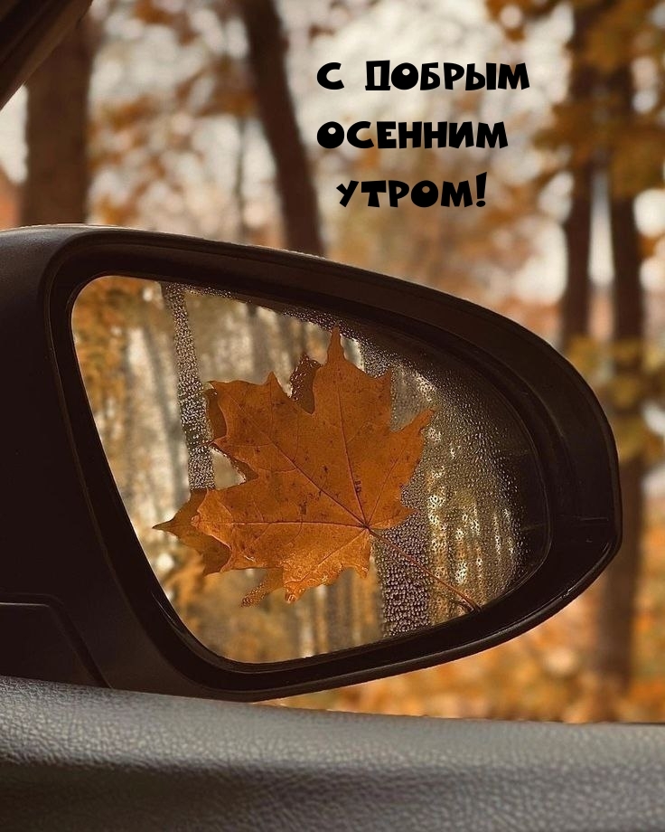 С Добрым осенним утром!