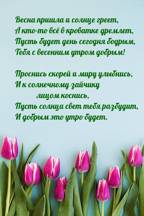 Весна пришла и солнце греет, А кто-то все в кроватке дремлет