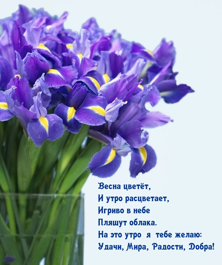 Удачи, Мира, Радости, Добра! Весна цветет, и утро расцветает