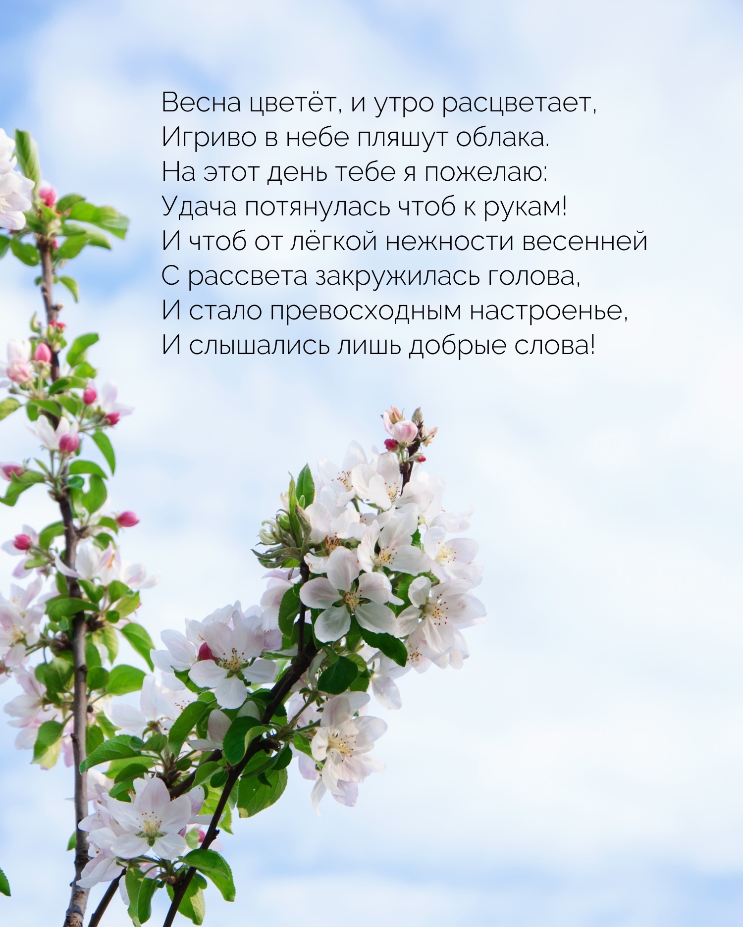 Весна цветет, и утро расцветает, игриво в небе пляшут облака.