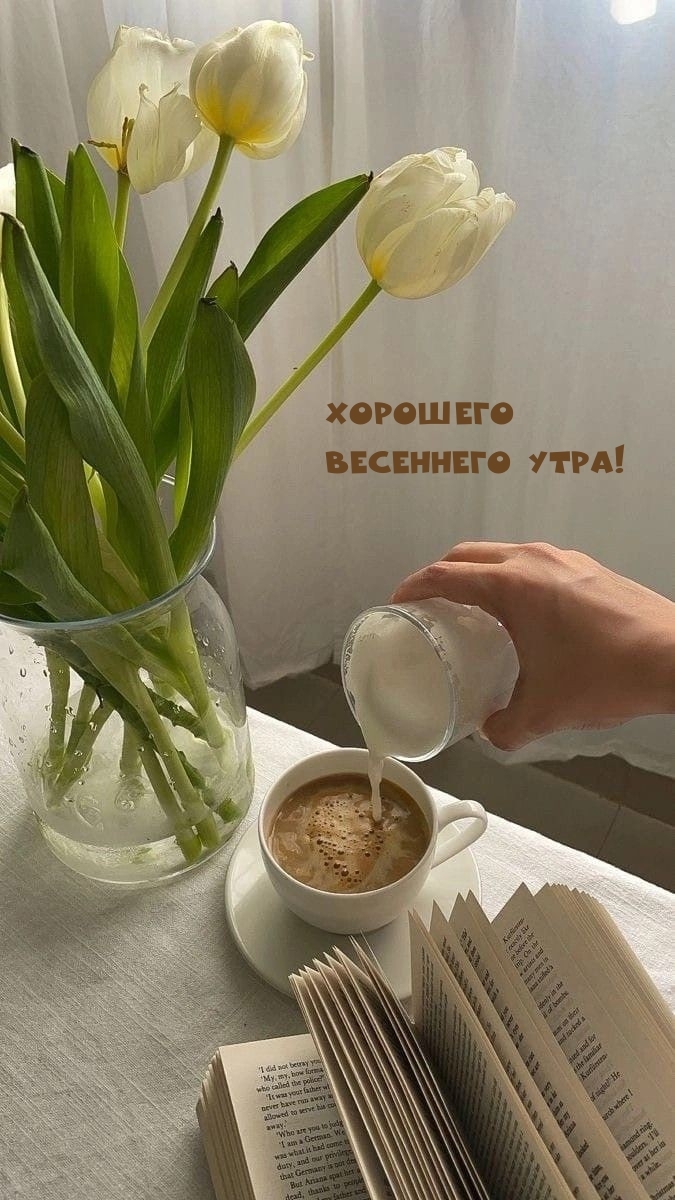 Хорошего весеннего утра!
