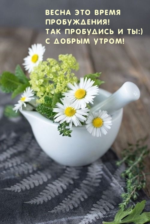 Весна это время пробуждения! Так пробудись и ты:) С добрым утром!