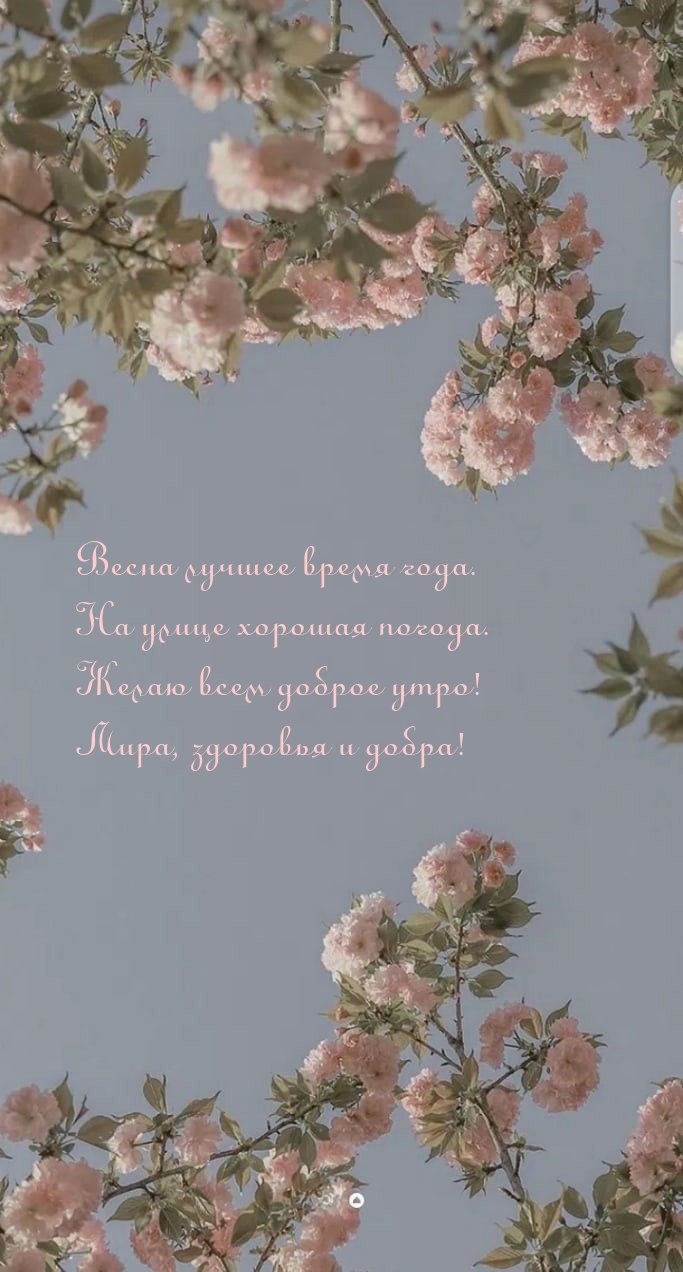 Желаю всем доброе утро! Мира, здоровья и добра!