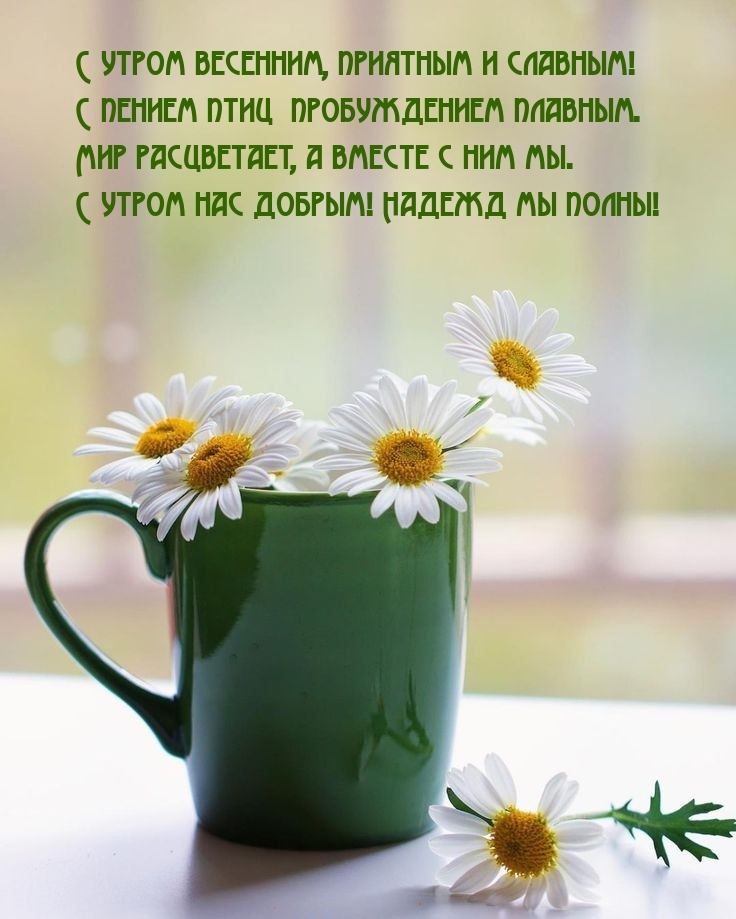Мир расцветает, а вместе с ним мы. С утром нас добрым!