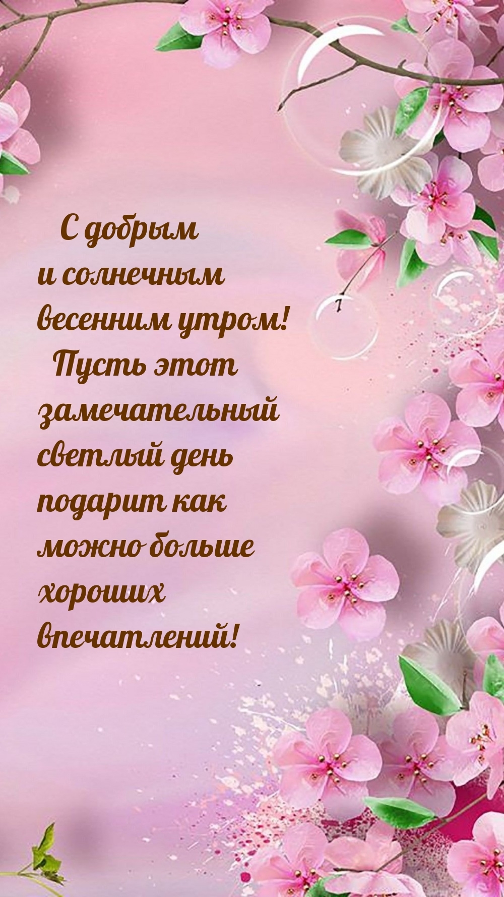 С добрым и солнечным весенним утром!