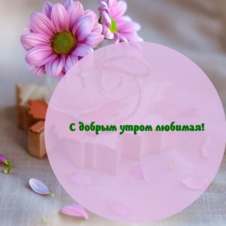 С добрым утром любимая!