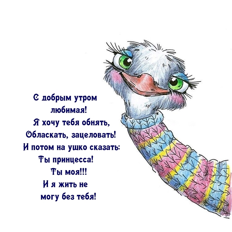 С добрым утром любимая! Я хочу тебя обнять, обласкать, зацеловать!