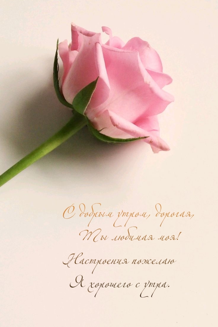 С добрым утром, дорогая, ты любимая моя!