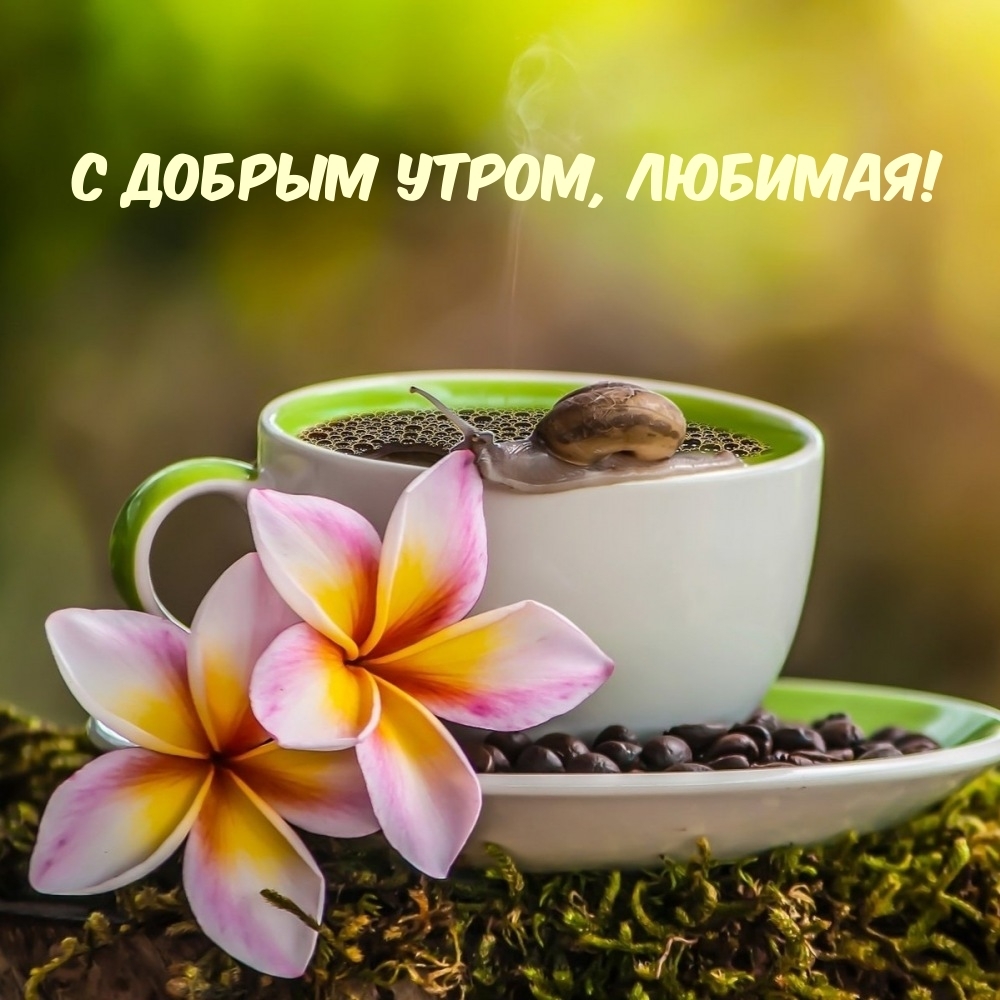 С добрым утром, любимая!
