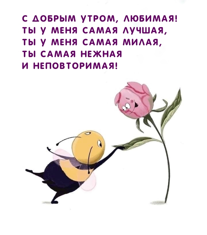 С добрым утром, любимая! Ты у меня самая лучшая