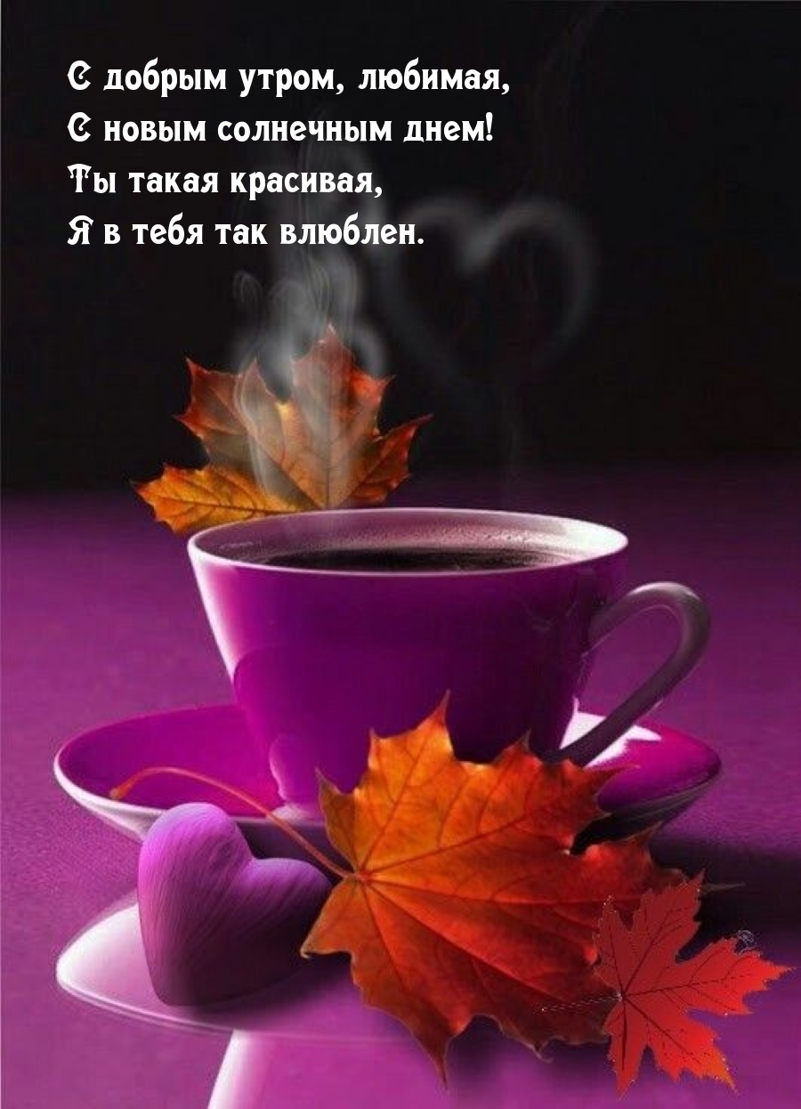 С добрым утром, любимая, с новым солнечным днем!