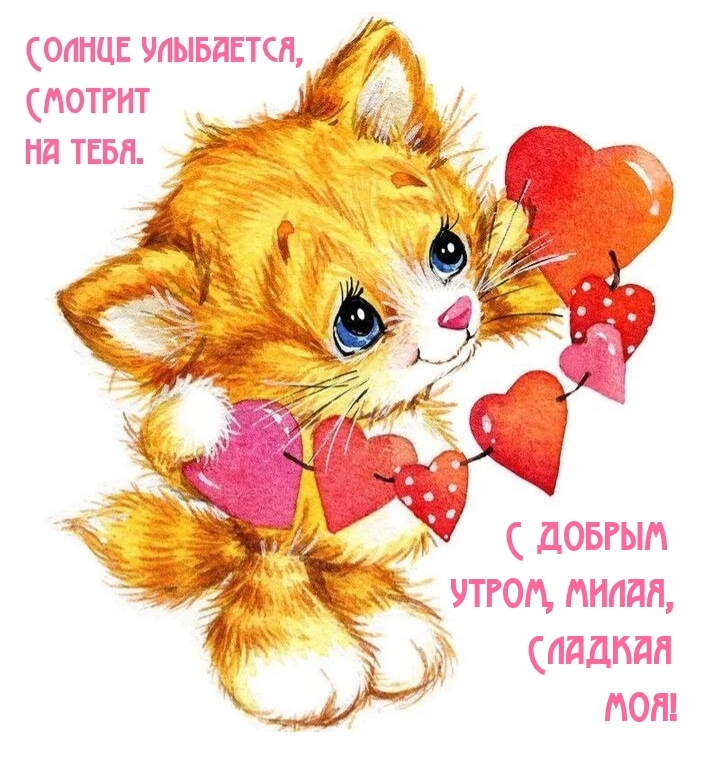С добрым утром, милая, сладкая моя!