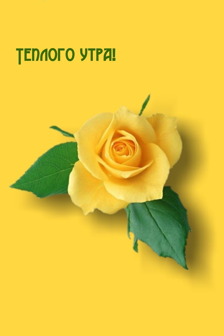 Теплого утра!