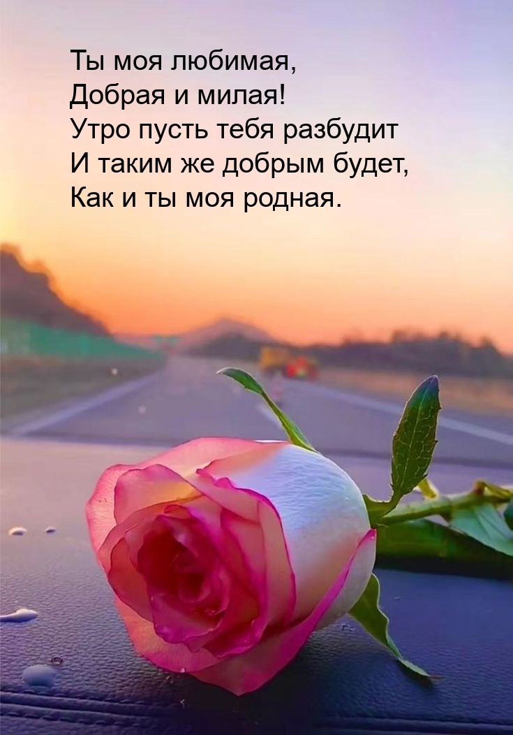 Утро пусть тебя разбудит и таким же добрым будет