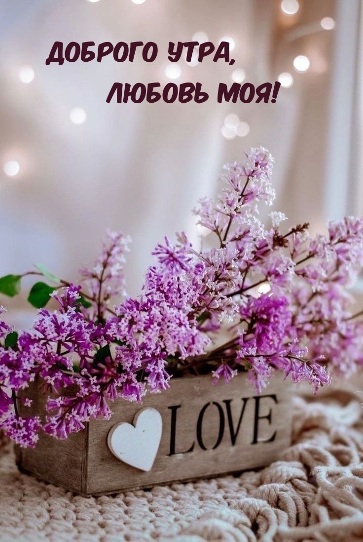 Доброго утра, Любовь моя!