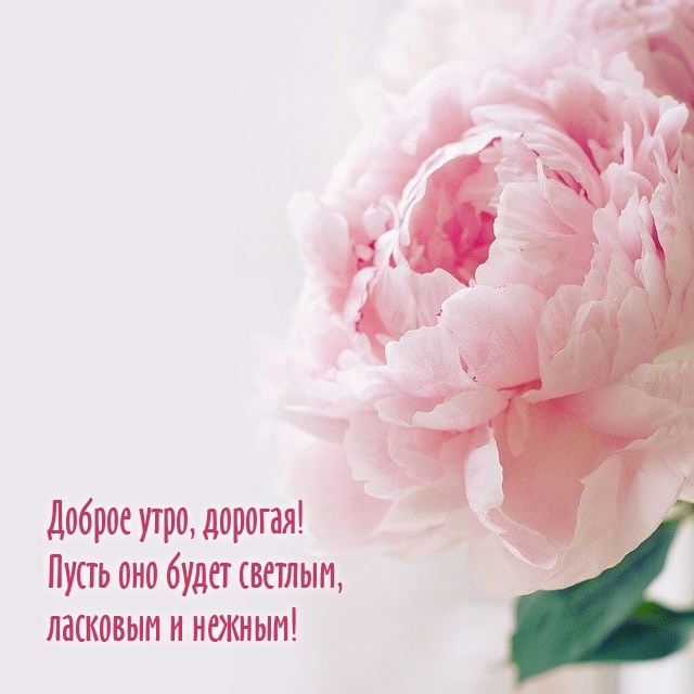 Доброе утро, дорогая! Пусть оно будет светлым