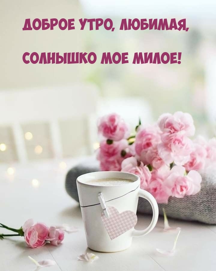 Доброе утро, любимая, солнышко мое милое!