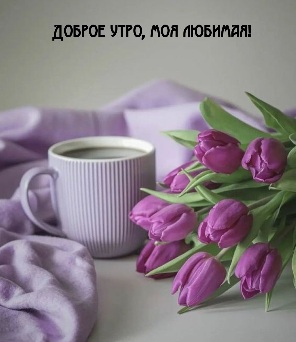 Доброе утро, моя любимая!