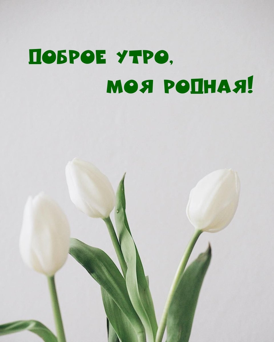 Доброе утро, моя родная!