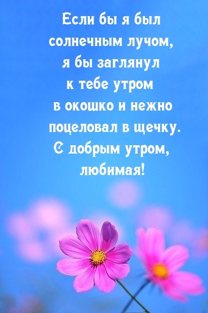 Если бы я был солнечным лучом, я бы заглянул к тебе утром в окошко