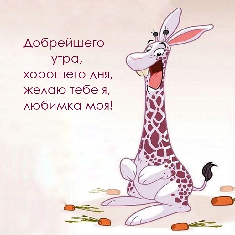 Добрейшего утра, хорошего дня, желаю тебе я, любимка моя!