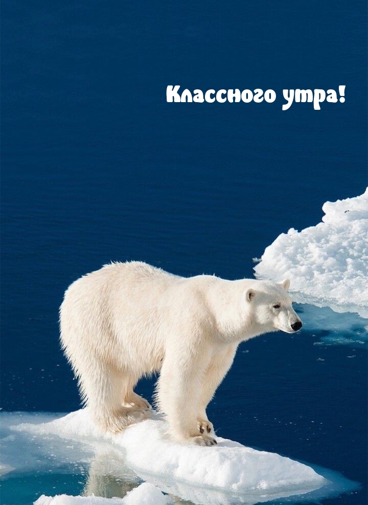 Классного утра!