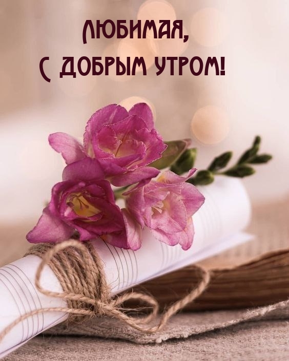 Любимая, С добрым утром!
