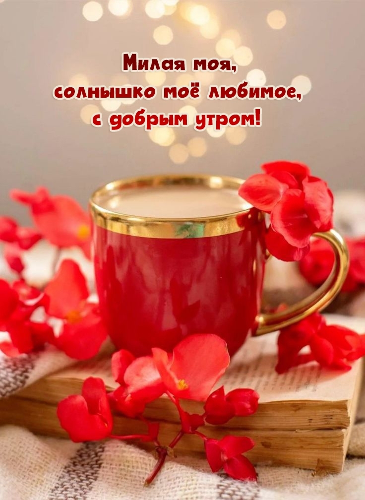 Милая моя, солнышко мое любимое, с добрым утром!