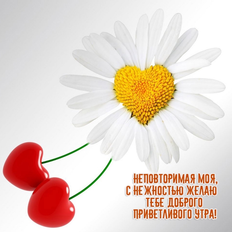 Неповторимая моя, с нежностью желаю приветливого утра!
