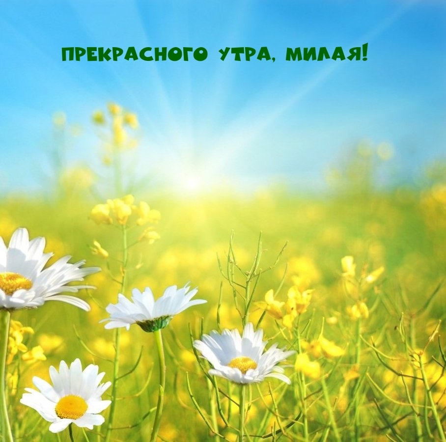 Прекрасного утра, милая!