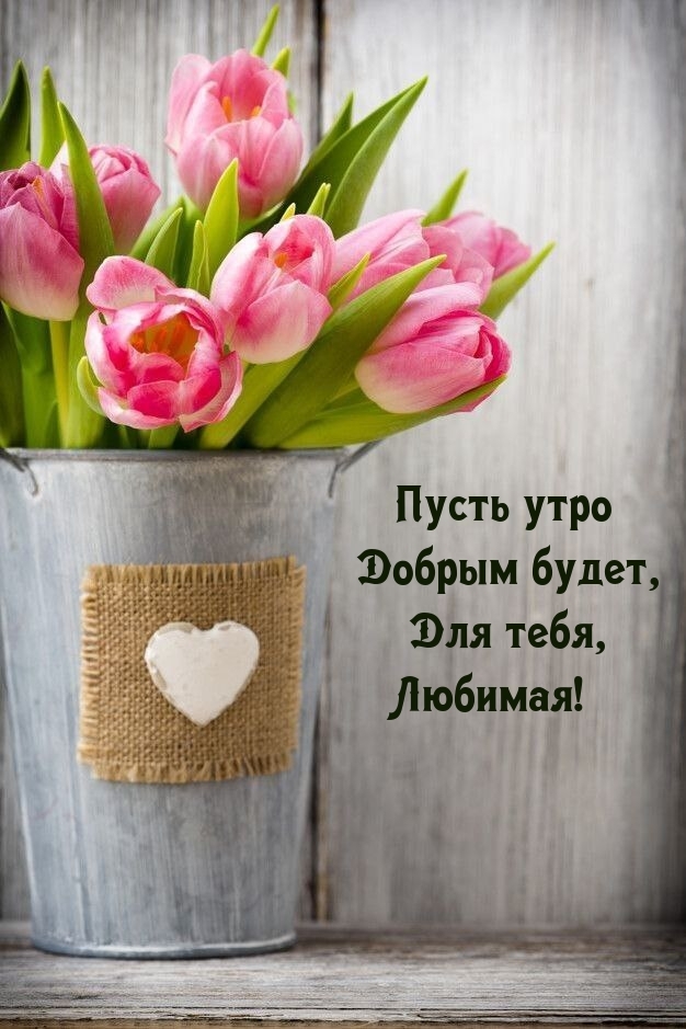Пусть утро добрым будет, для тебя, любимая!